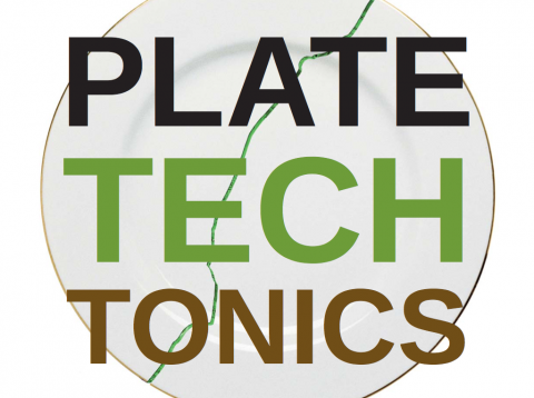Partial image of the report title: a broken plate with the report title overlaid