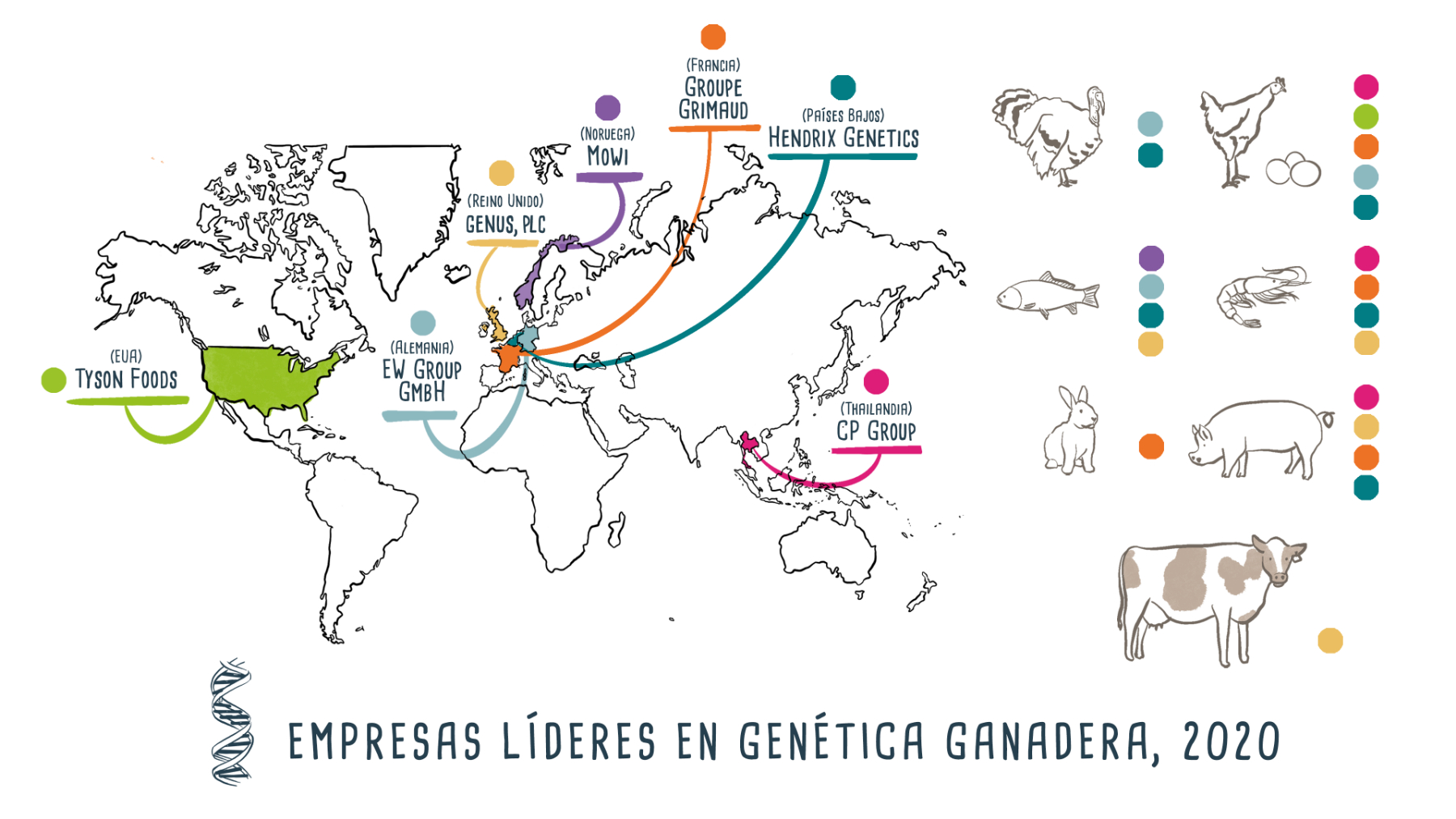 Genética ganadera- Infográfico