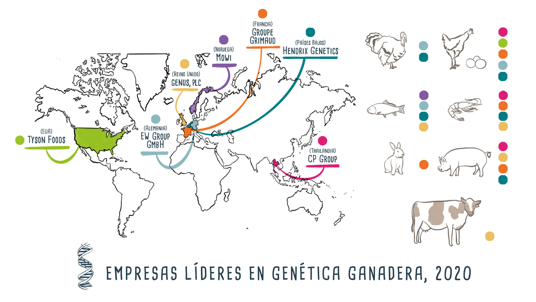 Genética ganadera- Infográfico