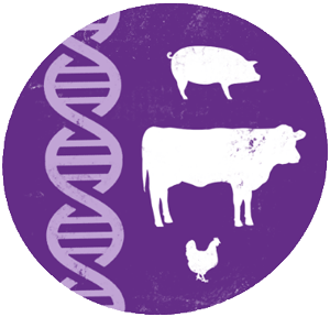 Livestocks Genetics - icon