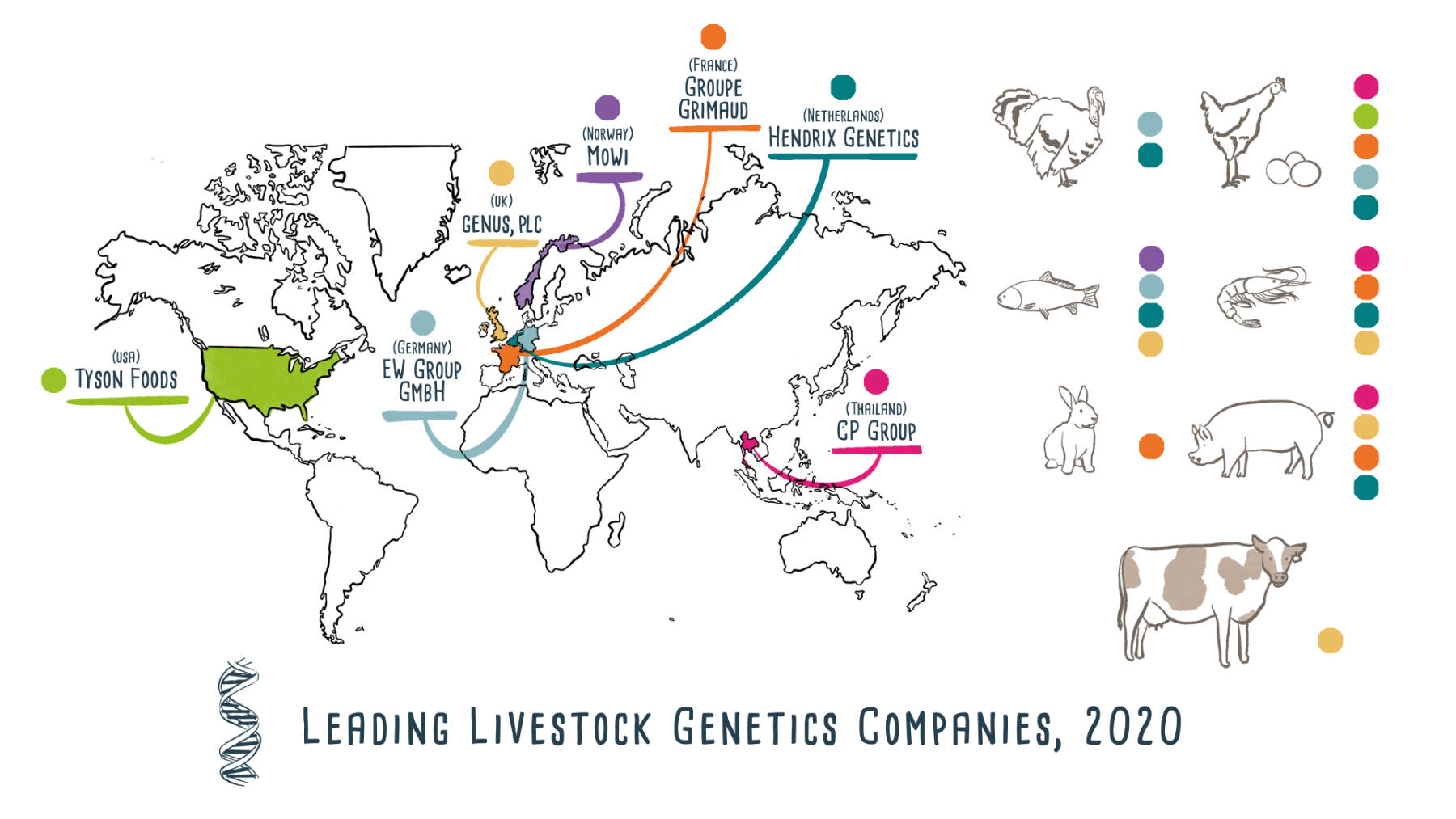 Livestocks Genetics- Infographic