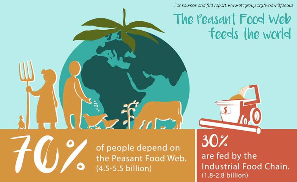 Video Who Will Feed Us The Peasant Food Web Vs The Industrial Food Chain Etc Group