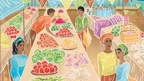 organización para la agricultura y la alimentación (fao)