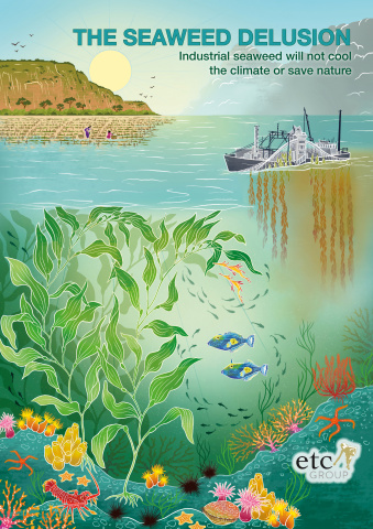 Illustration of report cover showing seaweed farming and marine ecosystem