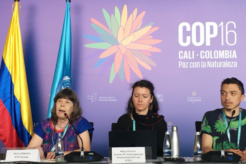 HOME Alliance COP 16 side event on geoengineering Image of panel of speakers at COP16