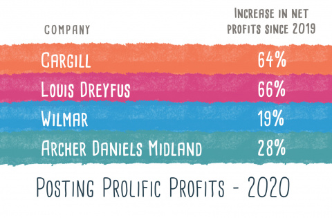 Top 4 companies re profits in agrocommodities sector Table showing Top 4 companies re profits in agrocommodities sector