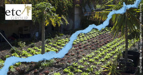 Small urban farm with blue earthquake fissure superimposed.