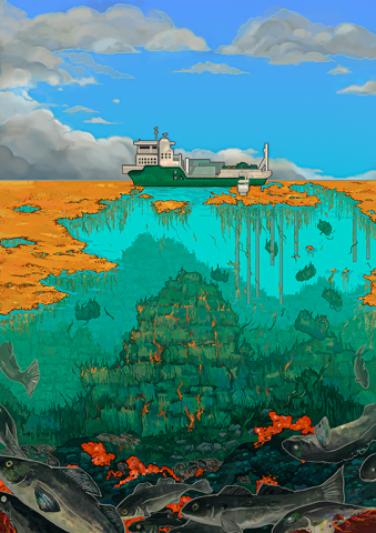 Seafields' faulty promises in the Caribbean cover art Seafields report cover art showing industrial seaweed farming