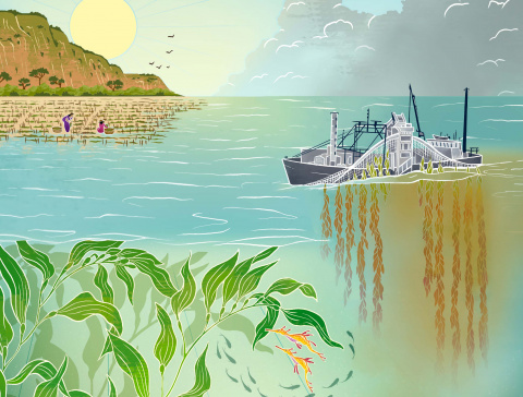 Artist's illustration of industrial seaweed production Artist's illustration of industrial seaweed production