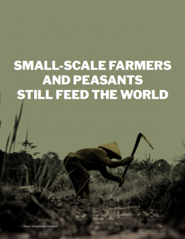 Backgrounder: Small Scale Farmers and Peasants Still Feed the