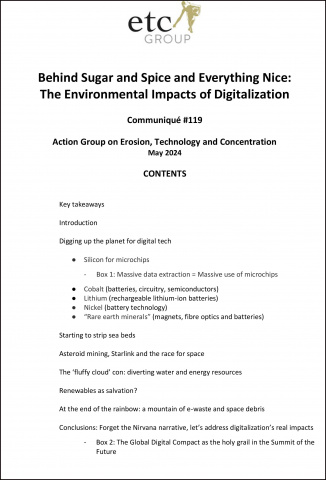 Behind Sugar and Spice and Everything Nice: The Environmental Impacts of Digitalization Sugar and Spice pdf report cover image (text only)