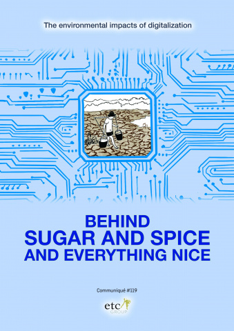 Report cover for Behind Sugar and Spice report Report cover for Behind Sugar and Spice report