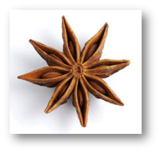 Estudio de caso: Anís estrella | Grupo ETC