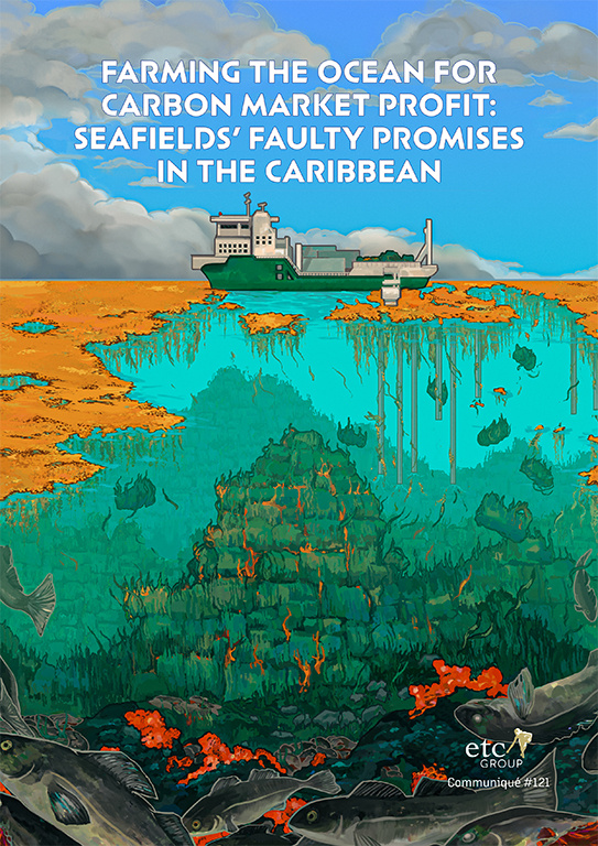 Report cover art showing a ship at sea and industrial seaweed farming