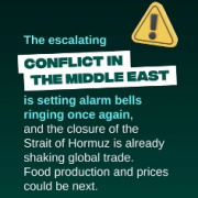 The escalating conflict in the Middle East is setting alarm bells ringing once again, and the closure of the Strait of Hormuz is already shaking global trade. Food production and prices could be next.